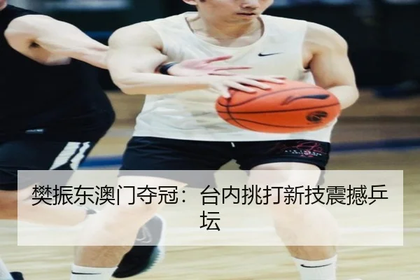 樊振东澳门夺冠：台内挑打新技震撼乒坛