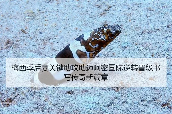 mei-xi-ji-hou-sai-guan-jian-zhu-gong-zhu-mai-a-mi-guo-ji-ni-zhuan-jin-ji-shu-xie-chuan-qi-xin-pian-zhang-3-710.jpg
