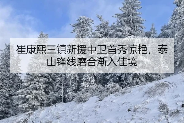 cui-kang-xi-san-zhen-xin-yuan-zhong-wei-shou-xiu-jing-yan-tai-shan-feng-xian-mo-he-jian-ru-jia-jing-2-144.jpg