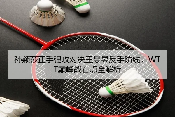 孙颖莎正手强攻对决王曼昱反手防线，WTT巅峰战看点全解析